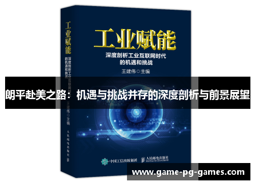 朗平赴美之路：机遇与挑战并存的深度剖析与前景展望