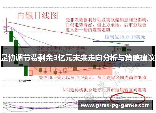 足协调节费剩余3亿元未来走向分析与策略建议 足协调节费剩余3亿元未来走向分析与策略建议