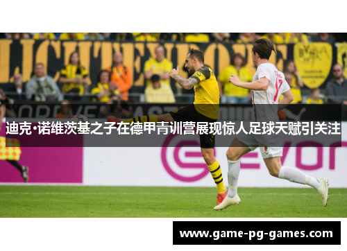 迪克·诺维茨基之子在德甲青训营展现惊人足球天赋引关注